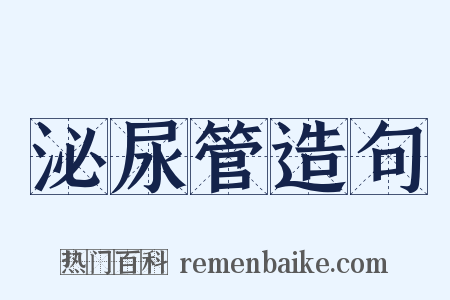 泌尿管造句是什么意思的图片